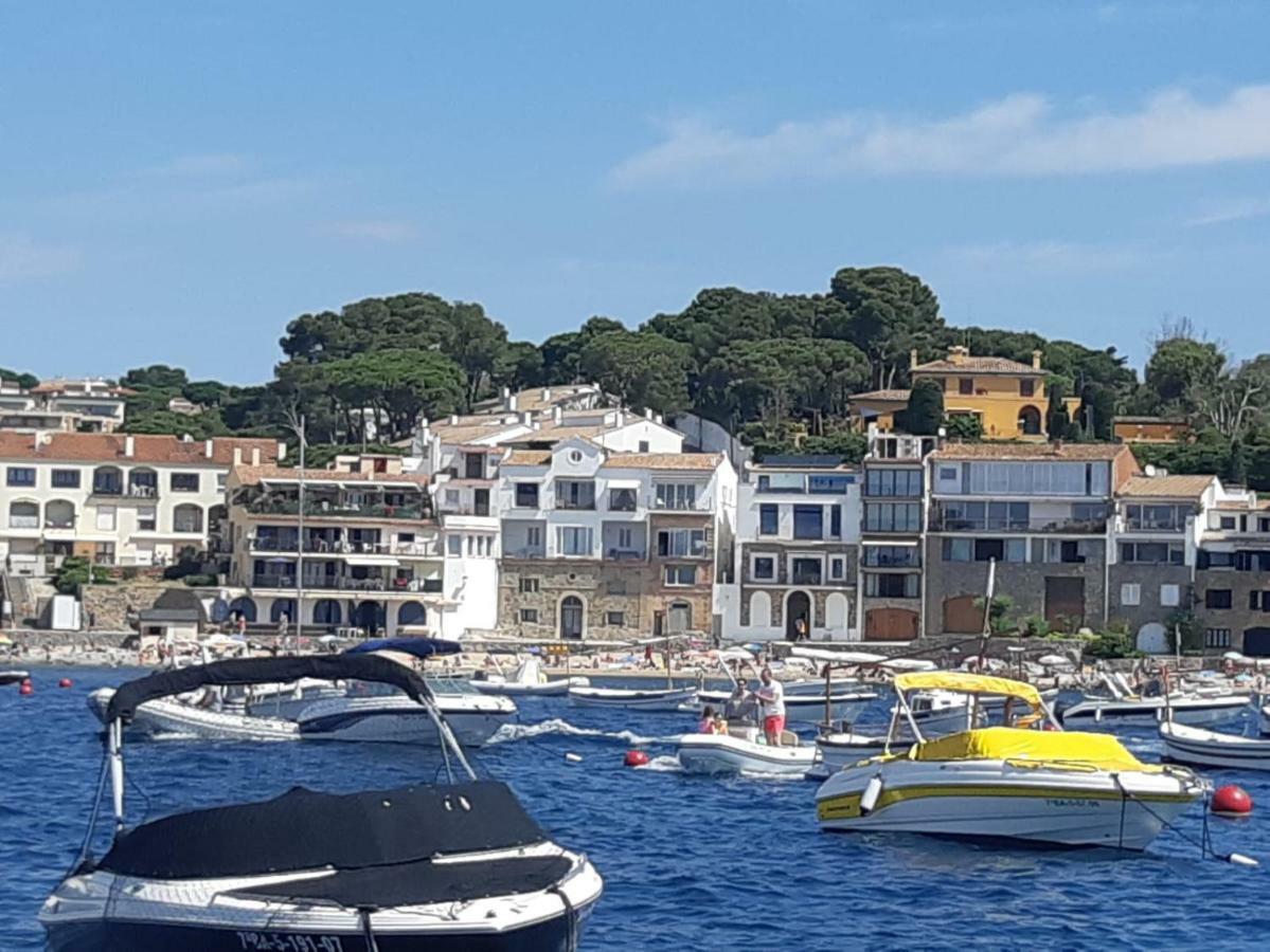 Casa Concha Apartamentos 卡莱利亚德帕拉弗鲁赫尔 外观 照片